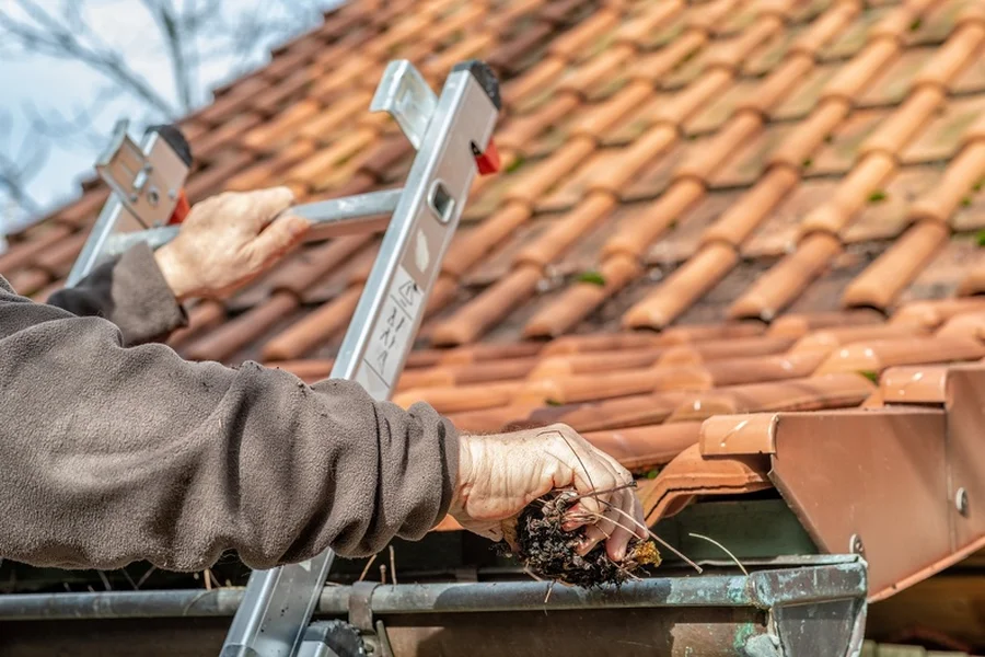 How Regular Gutter Cleaning Prevents Water Damage Brownsboro, TX