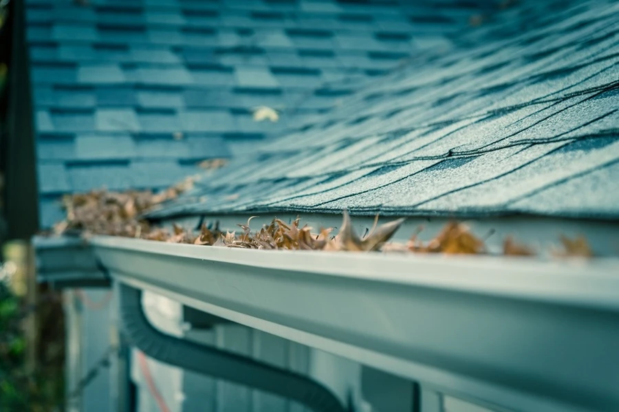How Regular Gutter Cleaning Prevents Water Damage in Brownsboro, TX